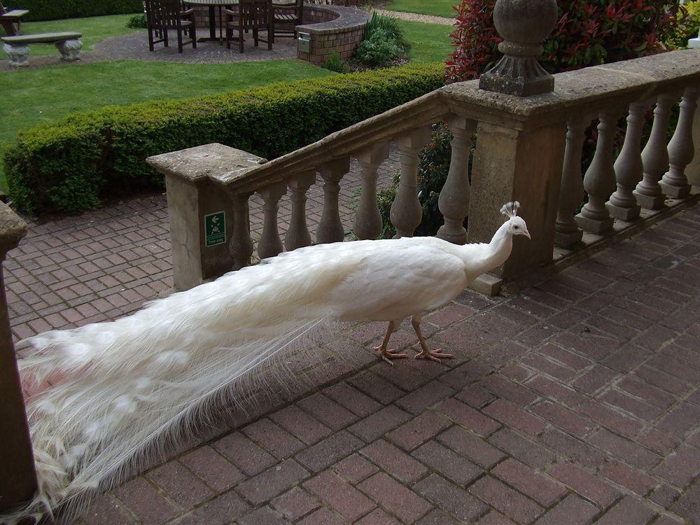Pendley Manor Hotel Tring Bagian luar foto