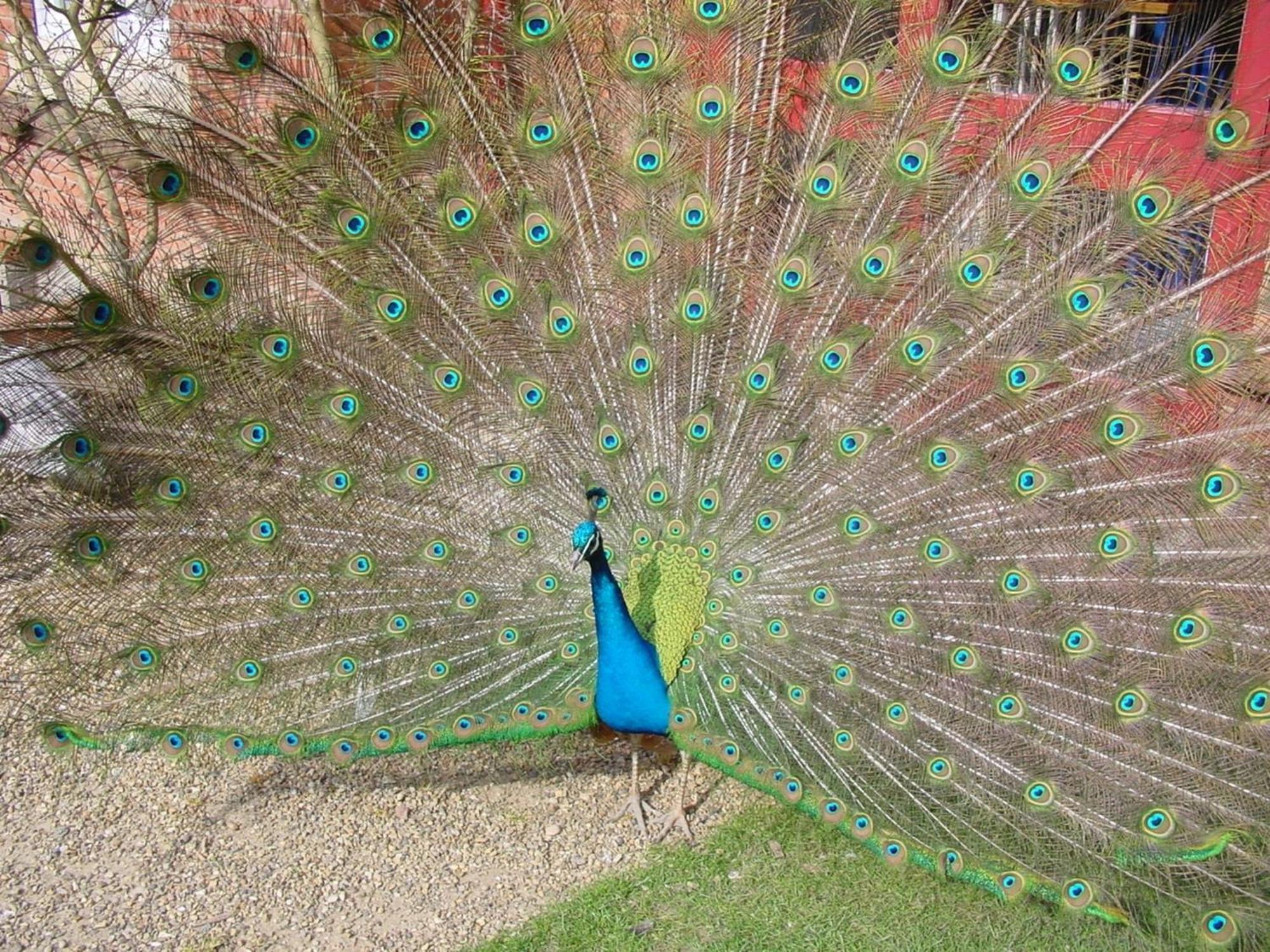 Pendley Manor Hotel Tring Bagian luar foto