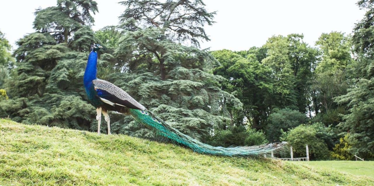 Pendley Manor Hotel Tring Bagian luar foto